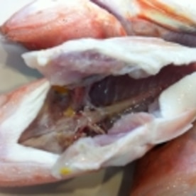 旬な魚 ホウボウの煮付け レシピ 作り方 By アボカドプリン 楽天レシピ 旬な魚 ホウボウの煮付け レシピ 作り方 By アボカドプリン 楽天レシピ